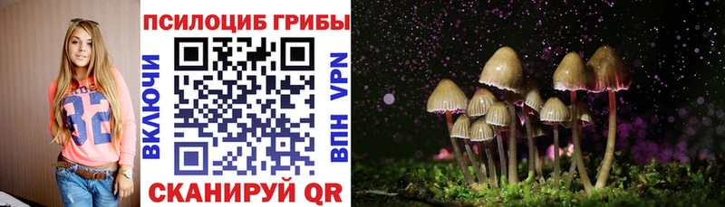 Галлюциногенные грибы мицелий  Кудымкар 